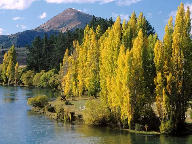 环保高效数字化
